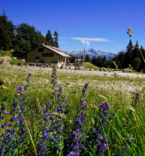 refuge_des_narce.jpg - © Office de Tourisme Intercommunal Vercors - Bureau d'Information Touristique de Lans-en-Vercors refuge_des_narce.jpg