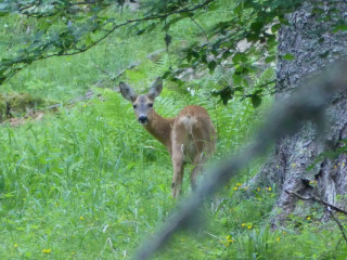 image_1.jpg - © les narces image_1.jpg