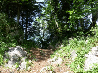 meaudre_80519.jpg