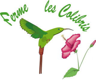 log_colibri.jpg