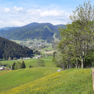 paysages_autrans_meaudre_oti_vercors_35.jpg - © Marion Cottaz paysages_autrans_meaudre_oti_vercors_35.jpg