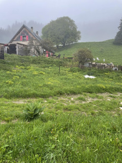 IMG_9138.jpeg - © Caroline Termier IMG_9138.jpeg