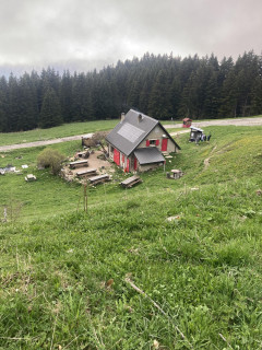 IMG_7143.jpeg - © Caroline Termier IMG_7143.jpeg