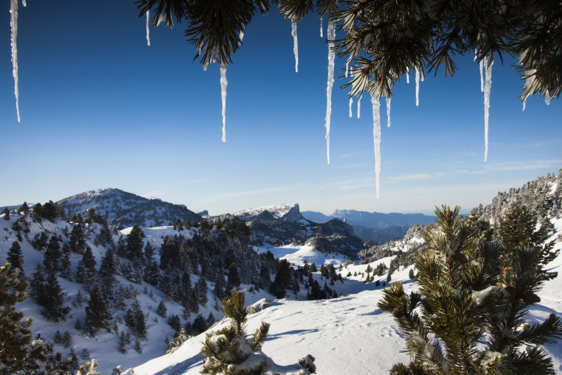 Les hauts Plateaux