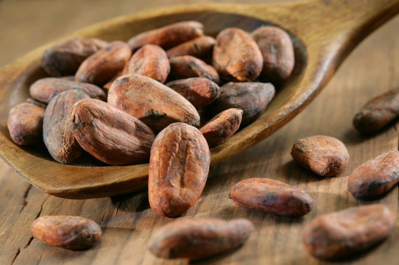 cacao.jpg