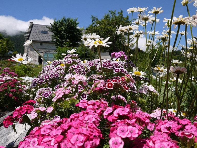 vegetal_en_vercors_1.jpg