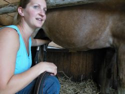Le Haras du Vercors