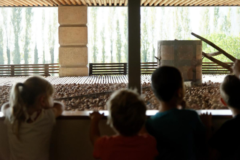L'ancien séchoir à noix