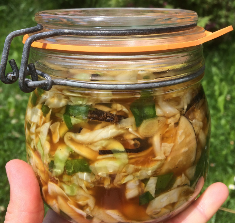 Légumes lacto-fermentés