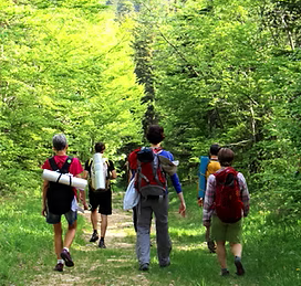 Photo de plusieur personne en randonnée dans la foret avec Randonnée en conscience_Lans-en-Vercors