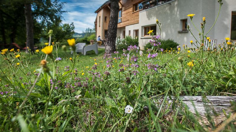 Jardin de la maison
