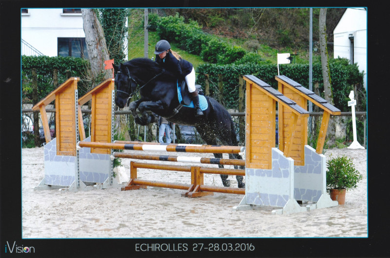 Club hippique toutes disiplines