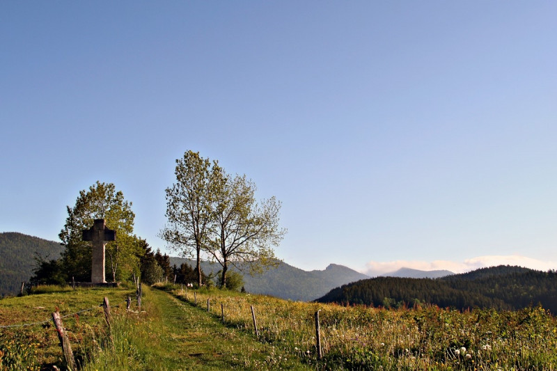 decouverte_arbes_du_sentier_patrimoine.jpg