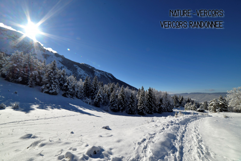 Nature Vercors