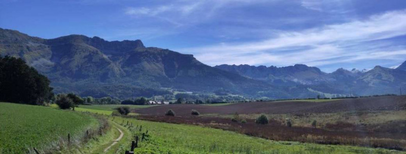 Paysage panoramique