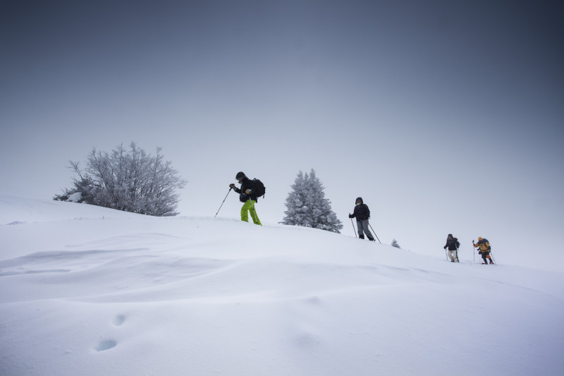 inspiration_vercors.jpg