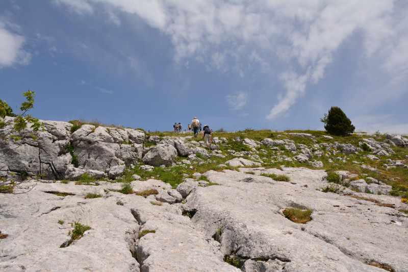 Les lapiaz du plateau des ramées