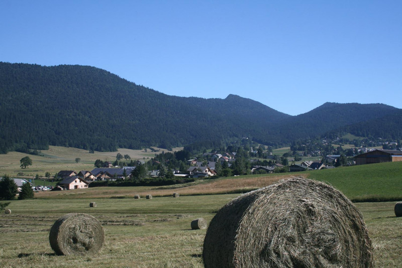 paysage_lise_libre_droit_2.jpg