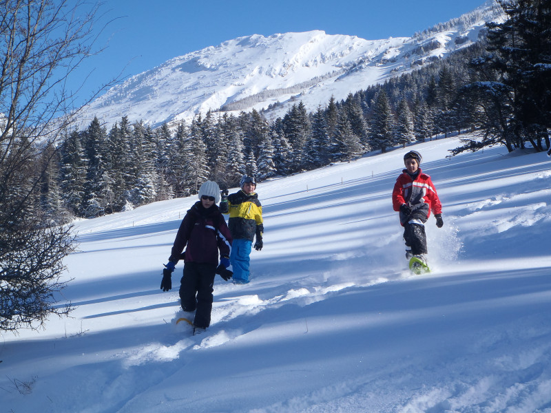 rando raquette vercors