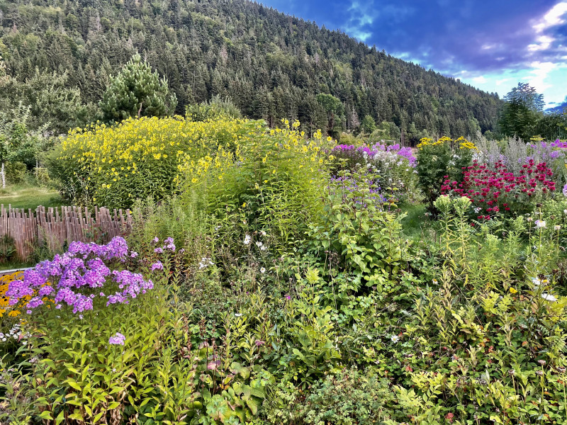 Un jardin au naturel