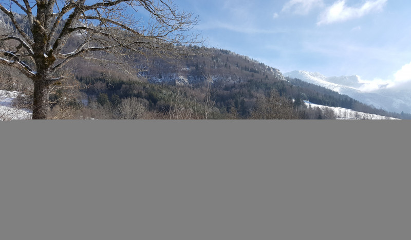 paysage d'hiver