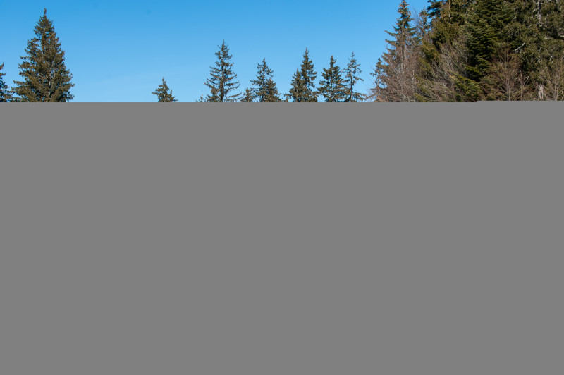 v_juraszek_nordique_meaudre_155_24.jpg