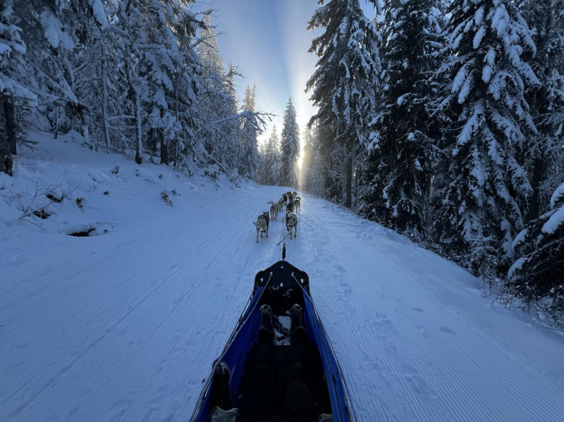 458191094_2291490461212364_1344064150172346534_n.jpg 458191094_2291490461212364_1344064150172346534_n.jpg