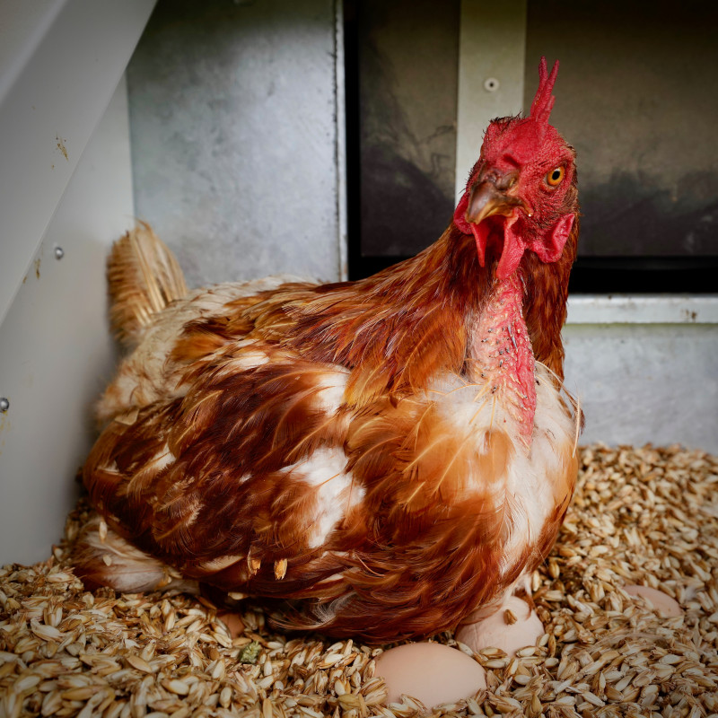 a7r0741.jpg a7r0741.jpg