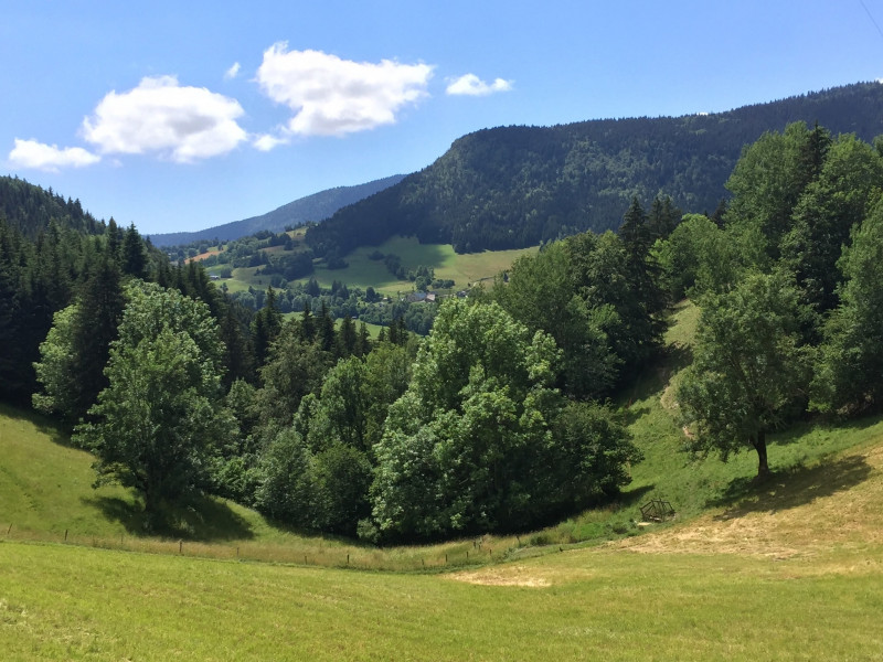 107246152_754838898678787_8797487938201794049_n_min.jpg 107246152_754838898678787_8797487938201794049_n_min.jpg