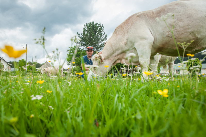 aurelie_et_francis_la_reine_des_pres.jpg aurelie_et_francis_la_reine_des_pres.jpg