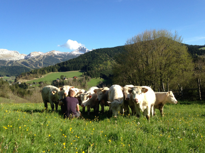 presentation_photo_de_couverture_min.jpg presentation_photo_de_couverture_min.jpg