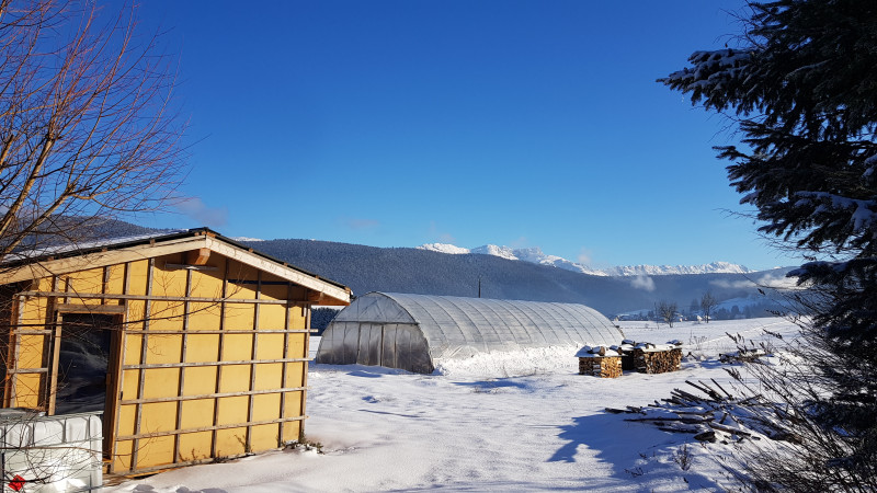 Joy Tetaz - © copyright Joy Tetaz