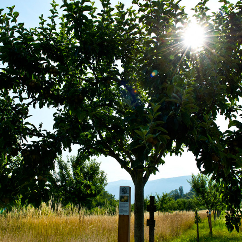 gite_2.jpg gite_2.jpg