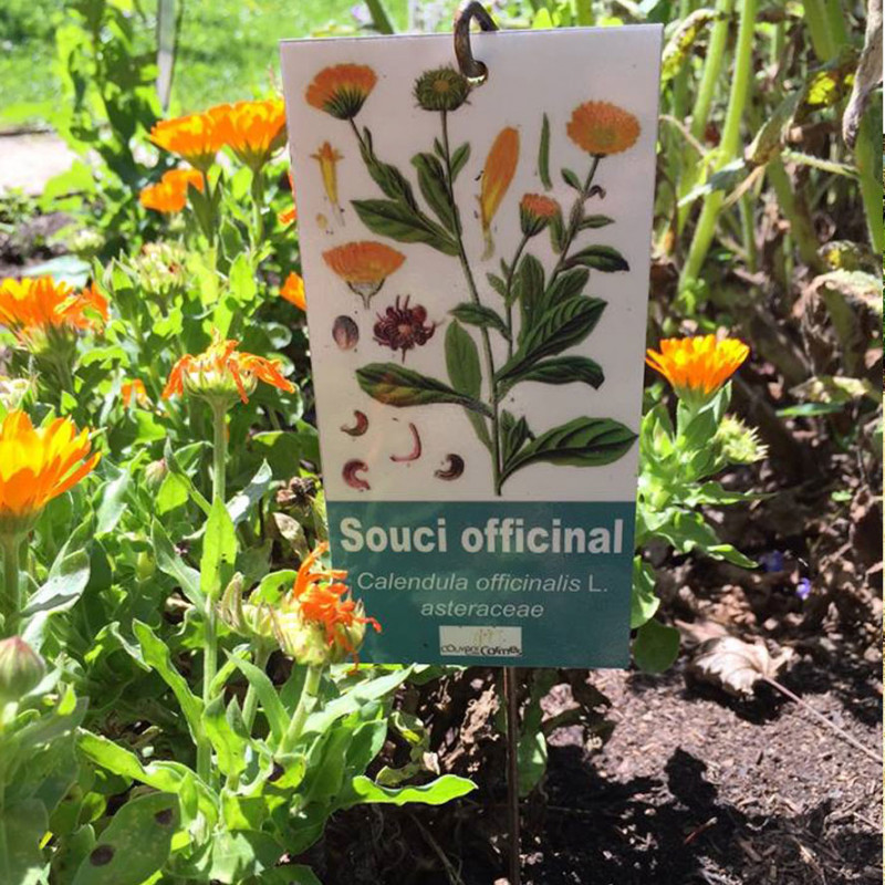 jardin_simples.jpg jardin_simples.jpg