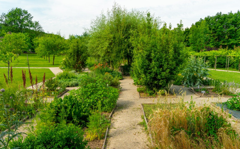 achille_7207243.jpg achille_7207243.jpg