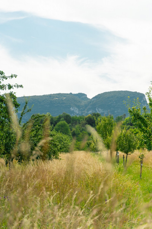 achille_7207226.jpg achille_7207226.jpg