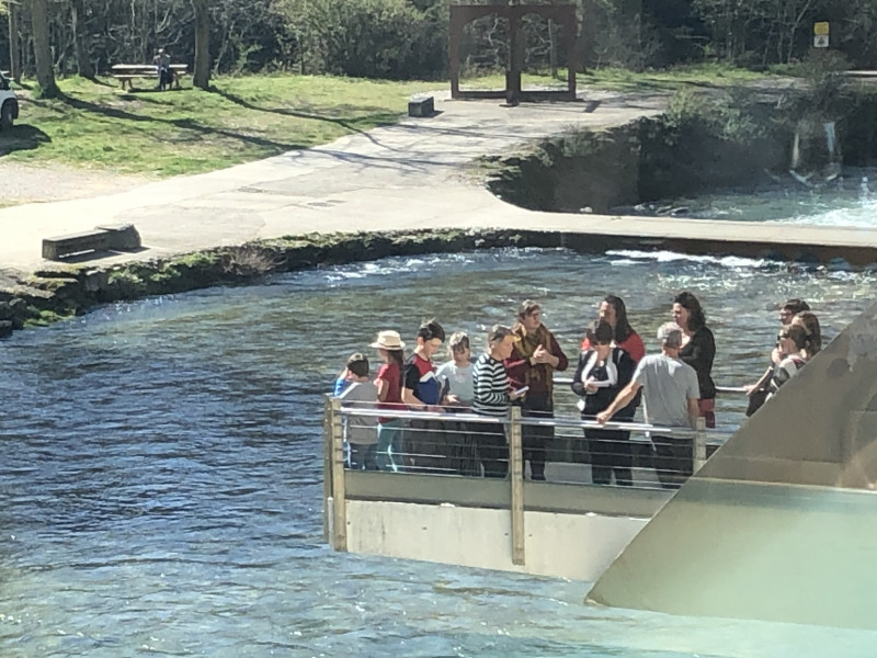 Passerelle - © musee de l'eau Passerelle