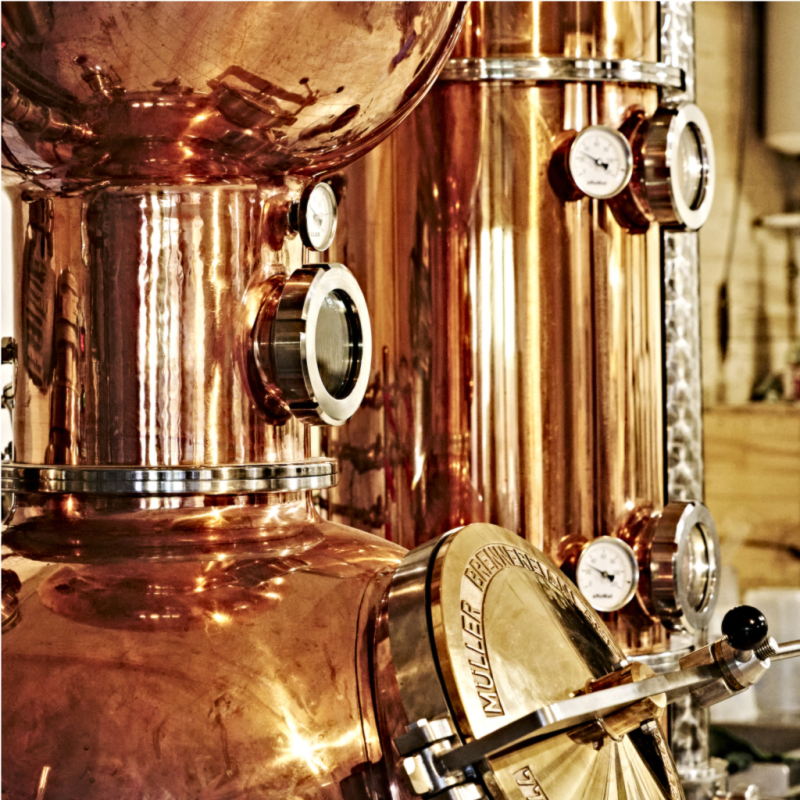 Monique - l'alambic de l'Entropie Monique - l'alambic de l'Entropie