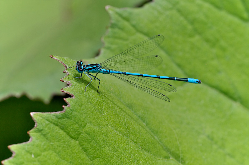 img_2626_version_2.jpg img_2626_version_2.jpg