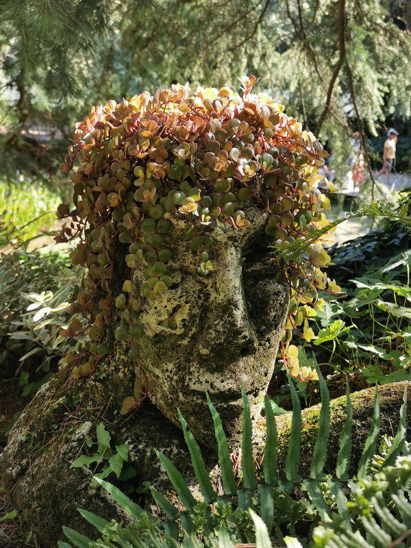 Jardin des Fontaines Pétrifiantes