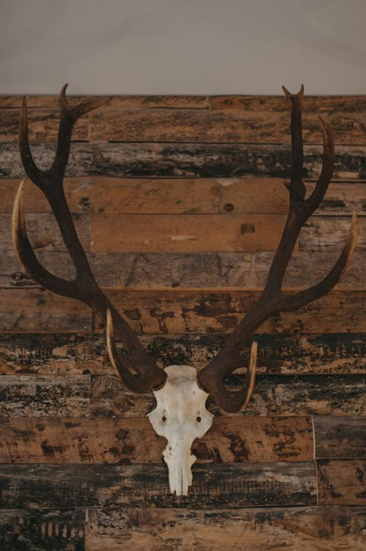 30525288.jpg.jpg 30525288.jpg.jpg