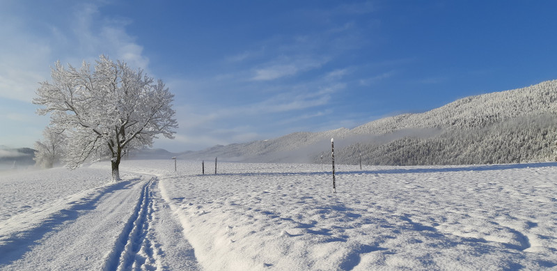 20191115_083922.jpg 20191115_083922.jpg