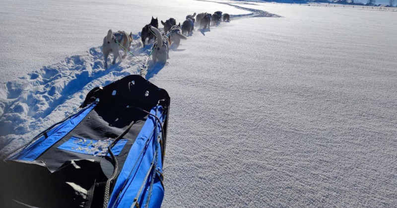 9ca6c032-003a-4abc-9fc8-fb0c2fa4a3e6.jpeg - © Rêve Arctic 9ca6c032-003a-4abc-9fc8-fb0c2fa4a3e6.jpeg