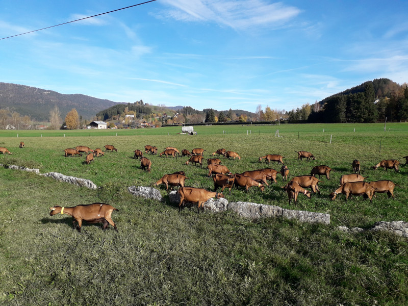 20221030_100235.jpg 20221030_100235.jpg