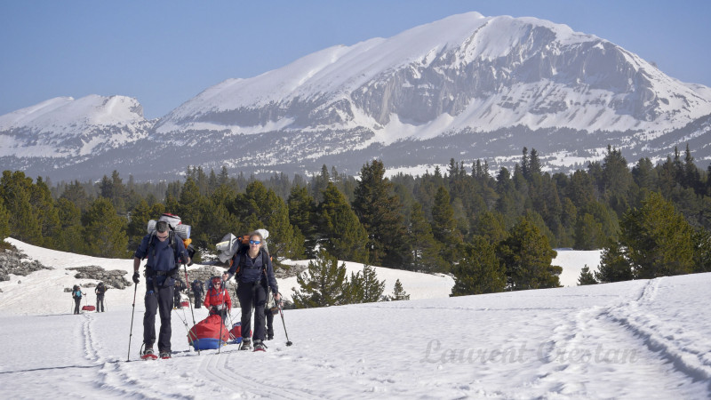 accompagnateur accompagnateur