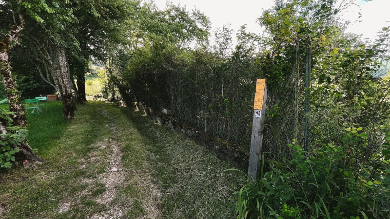 240618-46LaLoubièreexpress-bleu-2 - © Pierre Perrodin 240618-46LaLoubièreexpress-bleu-2