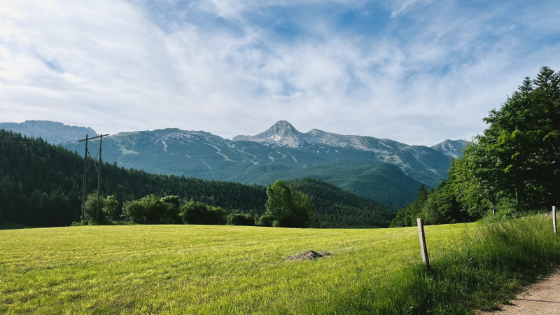 240618-46LaLoubièreexpress-bleu-5 - © Pierre Perrodin 240618-46LaLoubièreexpress-bleu-5