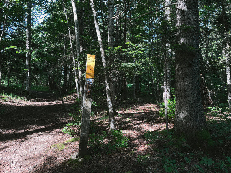 240618-46LaLoubièreexpress-bleu-7 - © Pierre Perrodin 240618-46LaLoubièreexpress-bleu-7