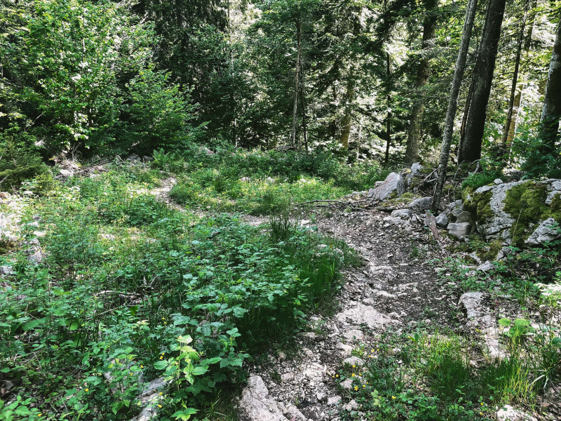 240618-46LaLoubièreexpress-bleu-9 - © Pierre Perrodin 240618-46LaLoubièreexpress-bleu-9