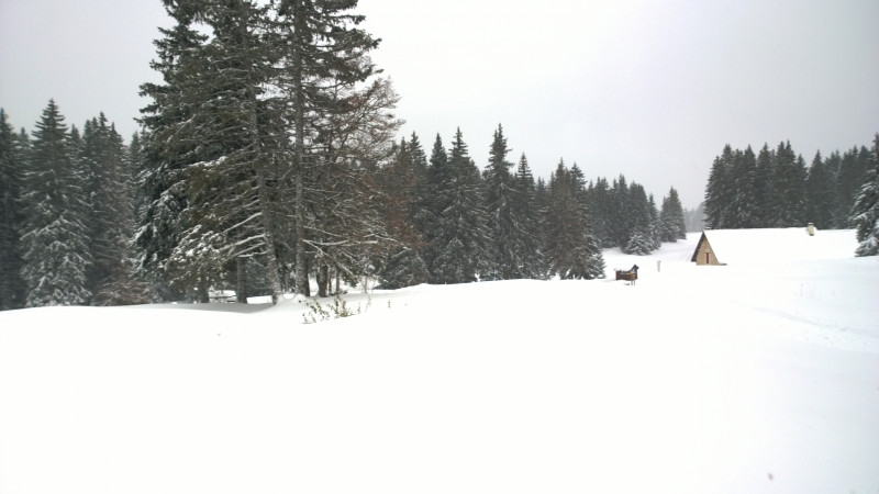 wp_20131120_11_47_51_pro.jpg wp_20131120_11_47_51_pro.jpg